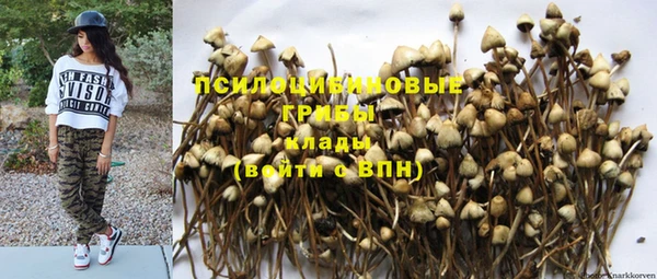 шишки Беломорск
