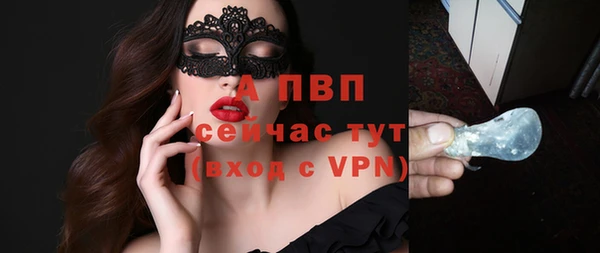 шишки Беломорск