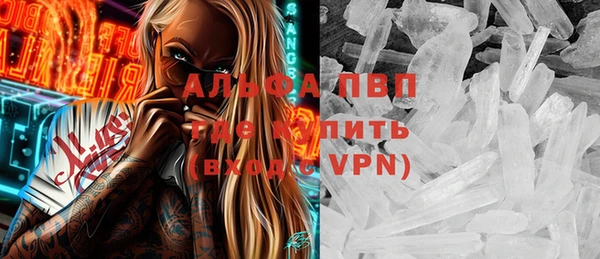 шишки Беломорск
