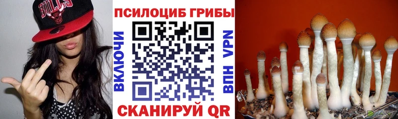 Галлюциногенные грибы мицелий  Новый Оскол 